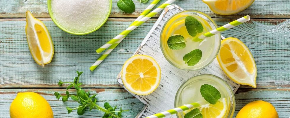 Letní detoxikace organismu